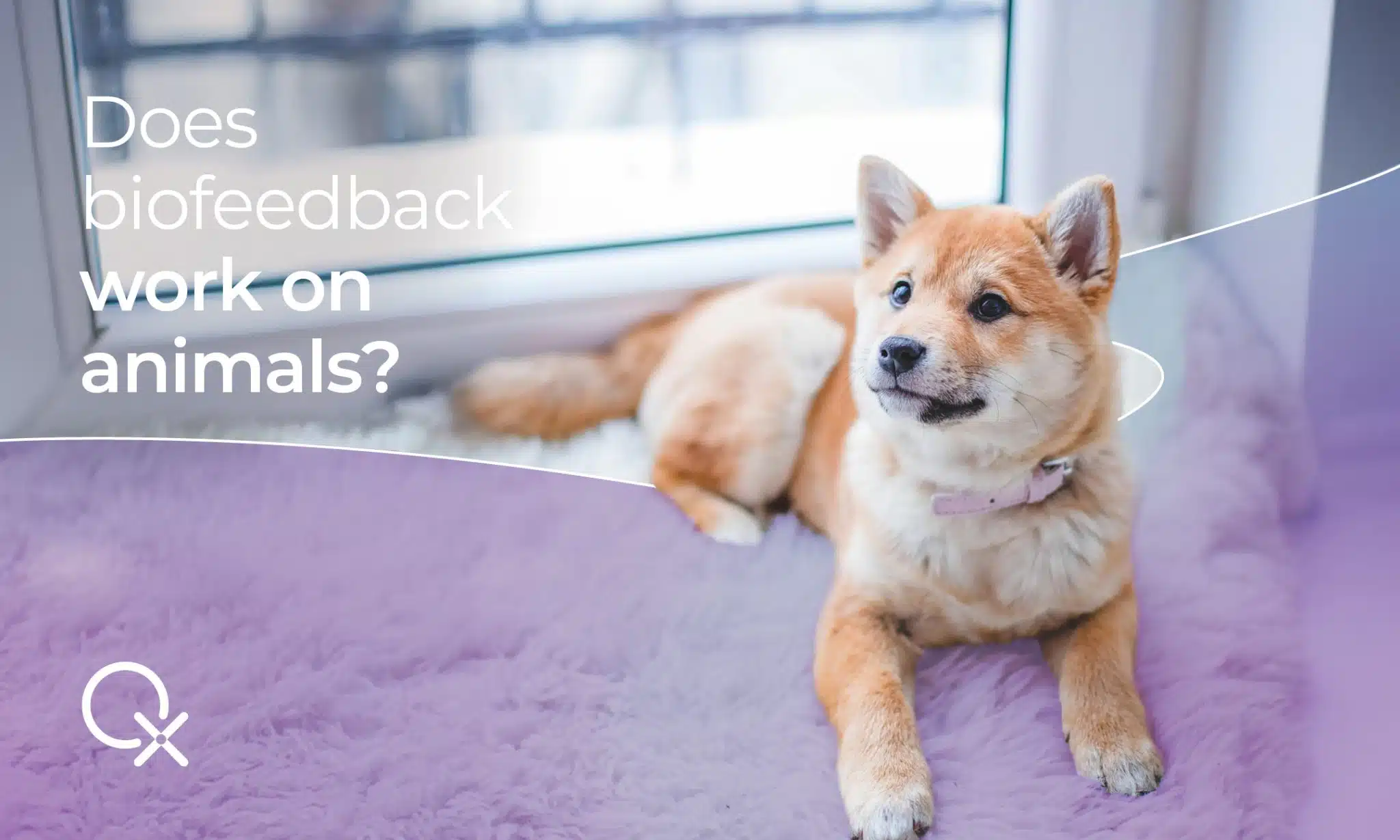 biofeedback for animals